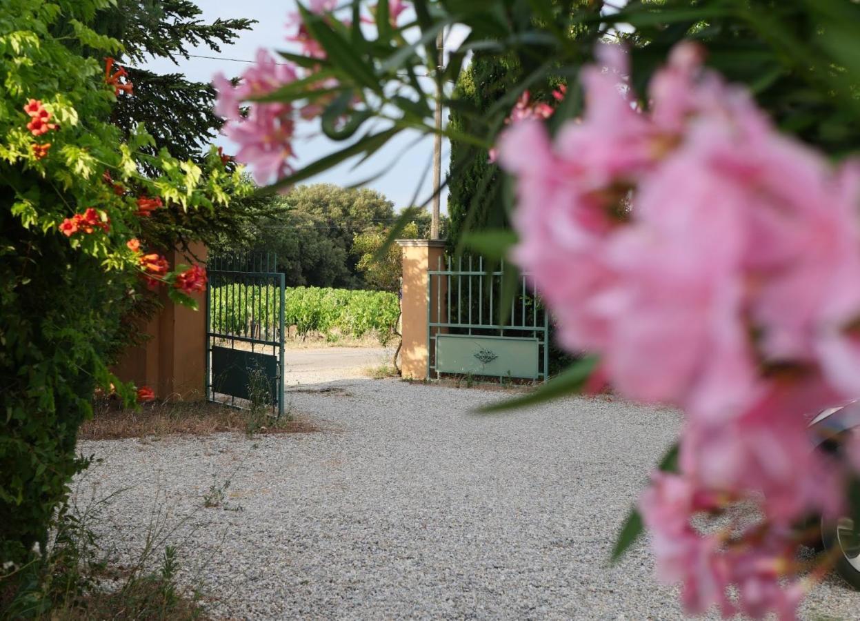 Maison D'Hotes Le Mas Des Vignes Hotell Rochegude  Eksteriør bilde